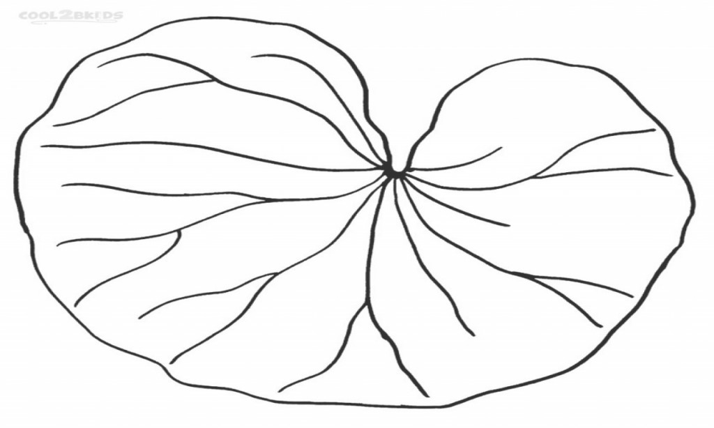1024x614 Lily Pad Coloring Page