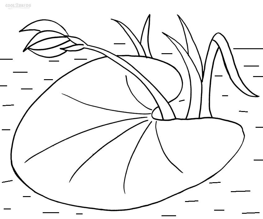 850x708 Printable Lily Pad Coloring Pages For Kids Cool2bkids Mural