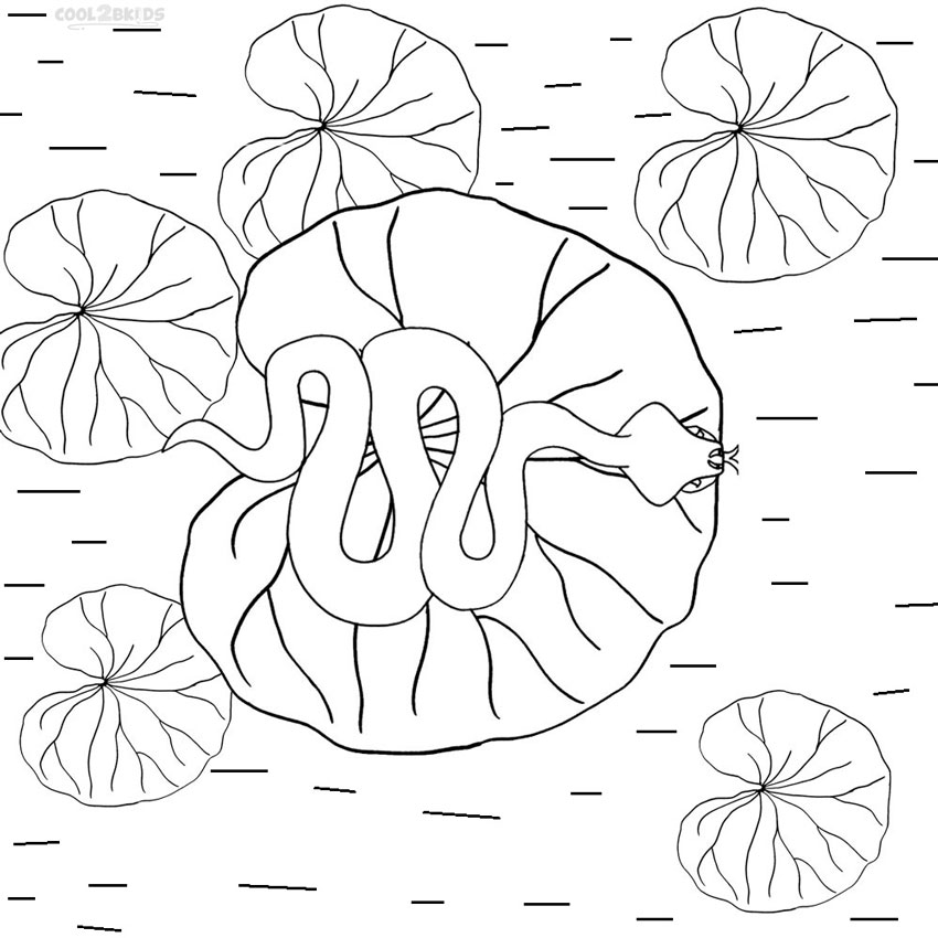850x850 Printable Lily Pad Coloring Pages For Kids Cool2bkids