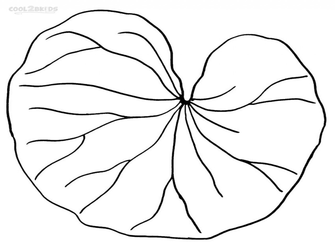 1280x960 Printable Lily Pad Coloring Pages For Kids Cool2bkids Noticeable