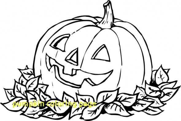 590x395 Linus And Sally In The Pumpkin Patch Coloring Page Woo Jr Kids