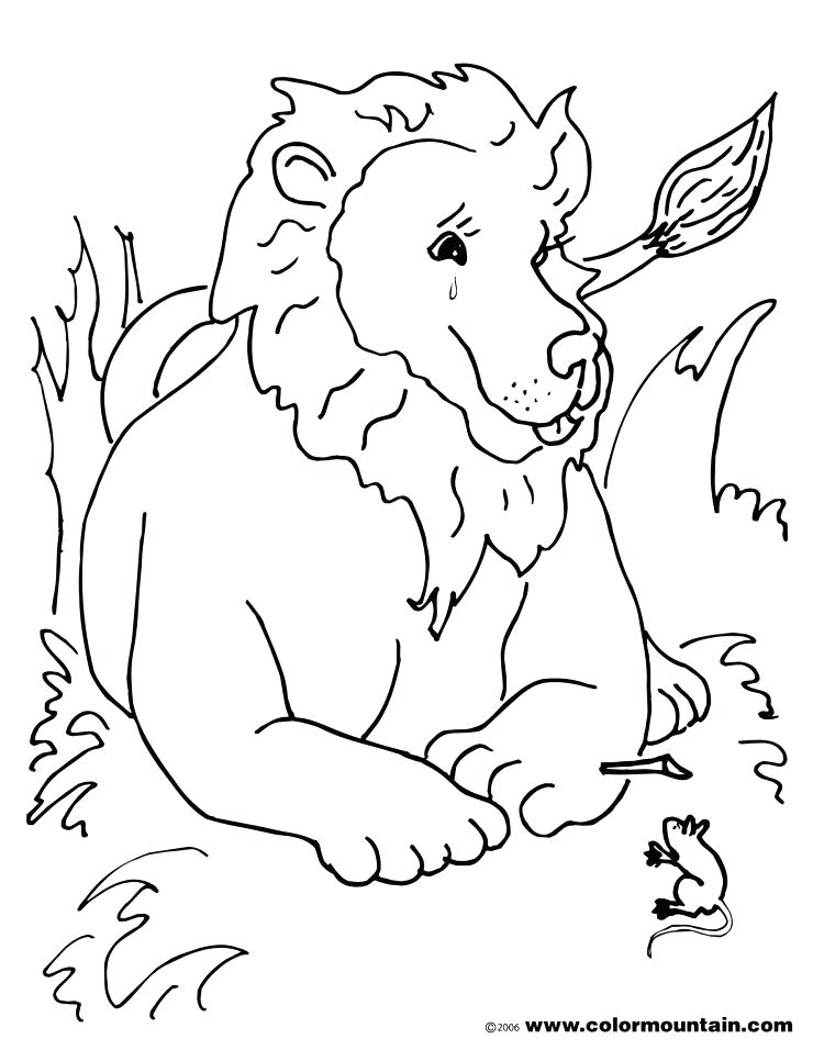 750x956 Lamb Coloring Pages