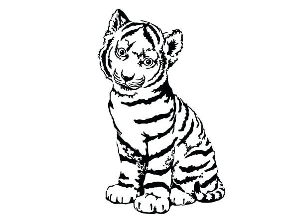 600x450 Lion Color Page Sea Lion Coloring Page Free Coloring Pages Sea