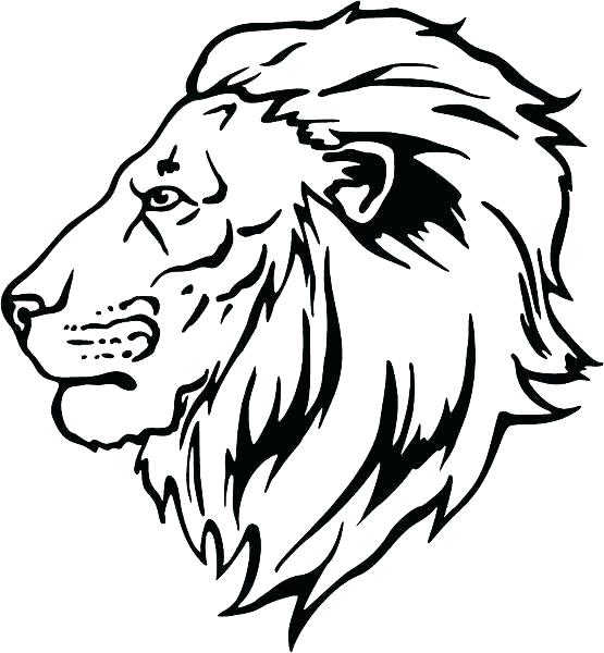 555x600 Coloring Pages Of Lions Lion King Scar Coloring Pages Lion King