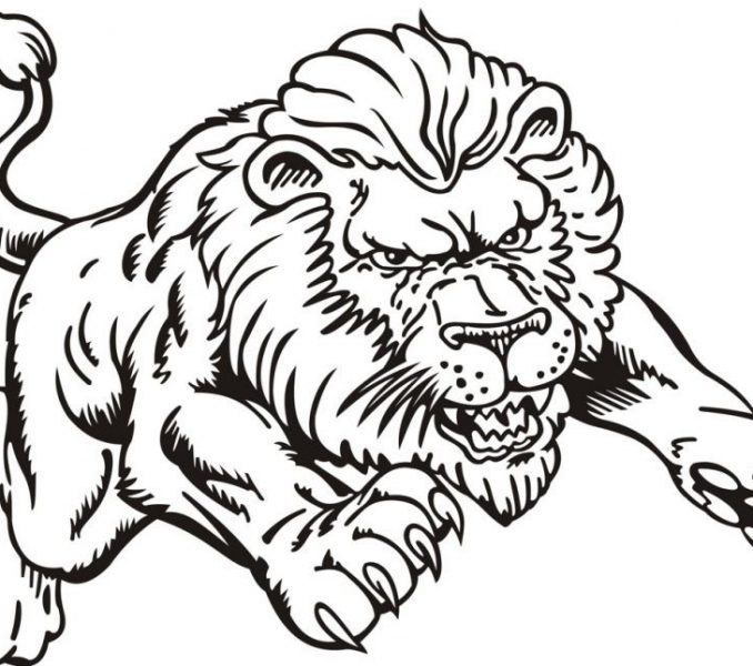 678x600 Lion Coloring Pages Lion Coloring Page Lion Color Page Vitlt