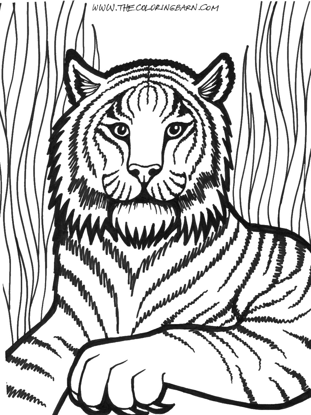1050x1400 Lion Cl 05.jpg