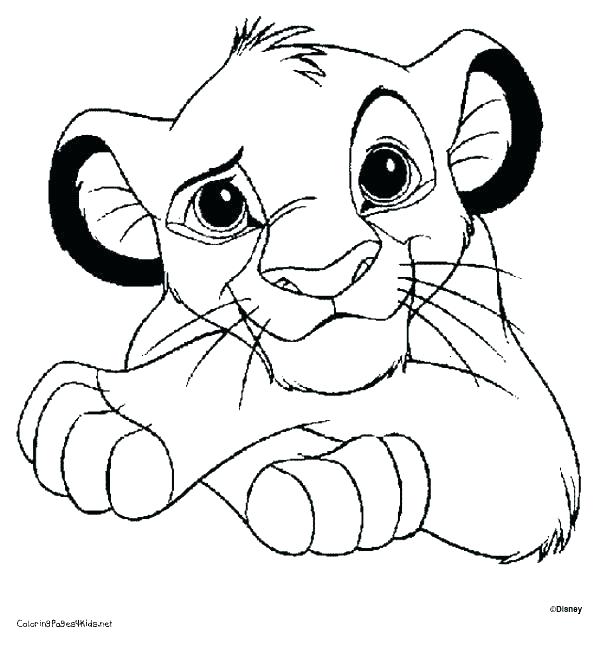 600x646 Lion Coloring Page