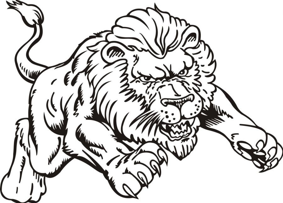900x645 Lion Coloring Pages Printable Lion Coloring Pictures Lion Coloring