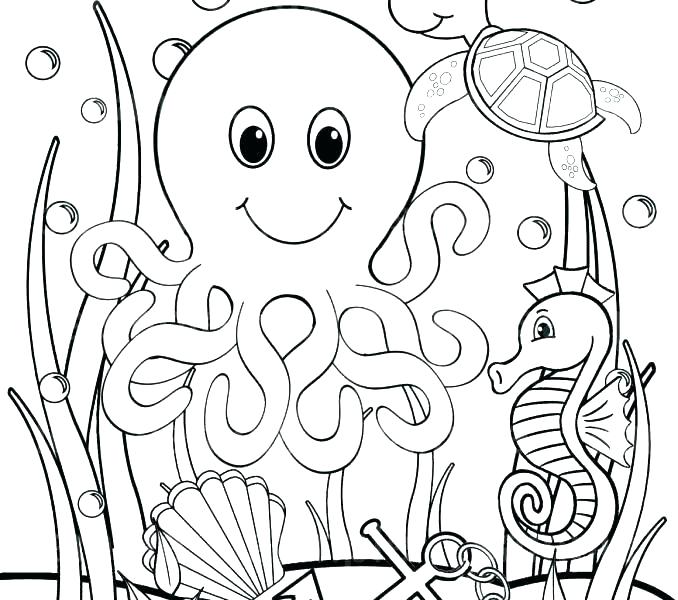 678x600 Sea Lion Coloring Page Under Sea Coloring Pages Free Sea Lion Sea