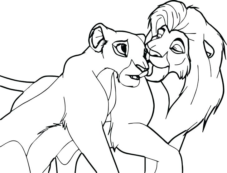 728x554 Sea Lion Coloring Pages Impair.co