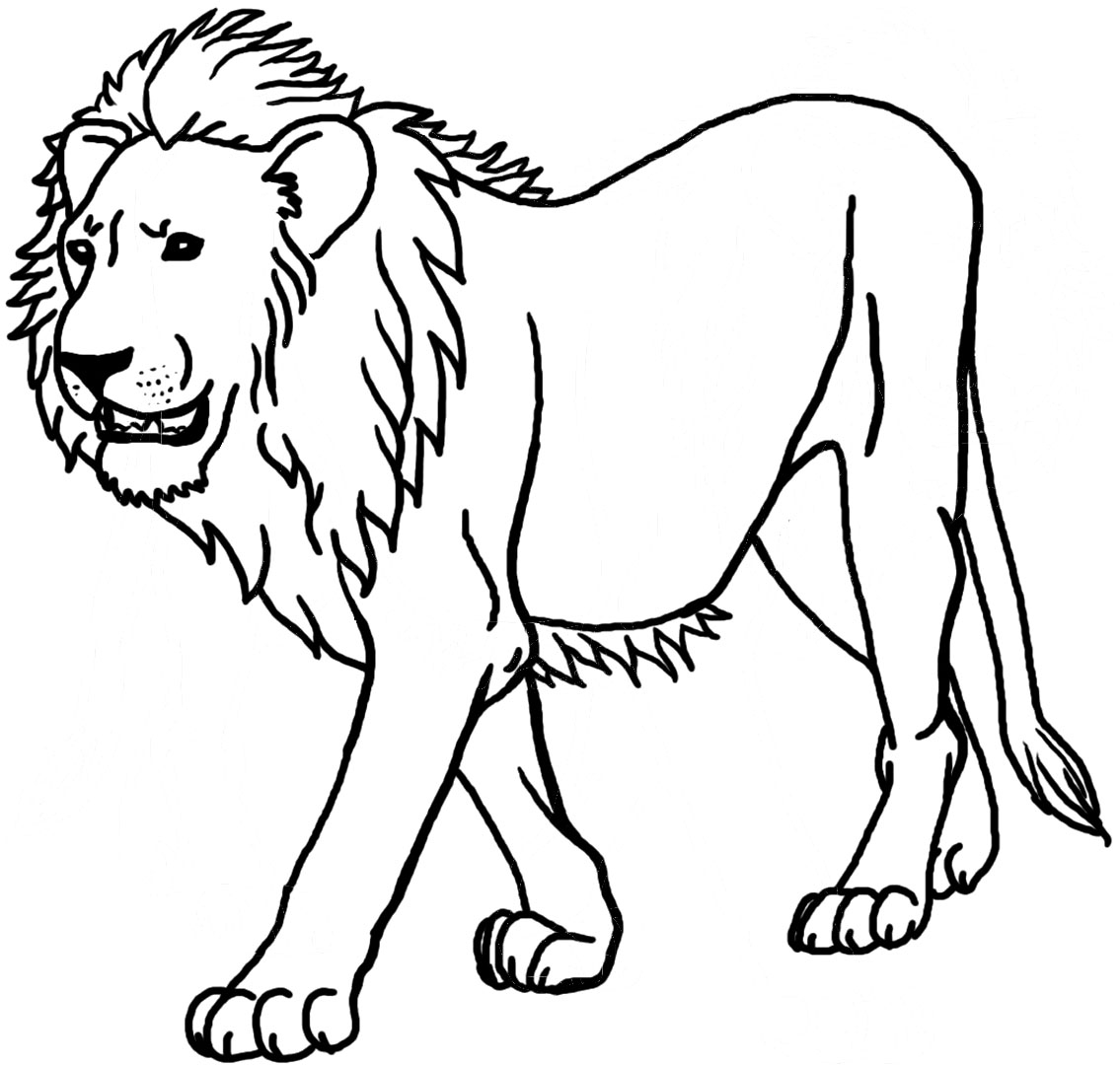 1135x1080 Liberal Lion Coloring Pages Genuine Picture