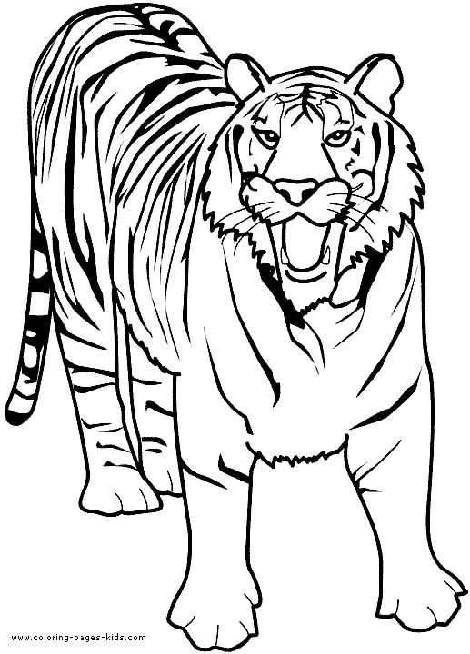 517x720 Lion Coloring Pages Printable