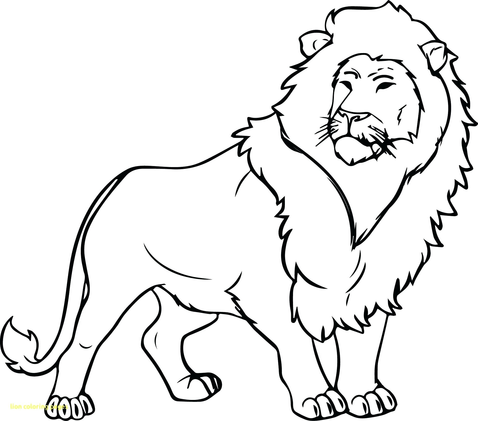 1881x1658 Lion Coloring Pages Printable Ribsvigyapan Com Extraordinary Lions