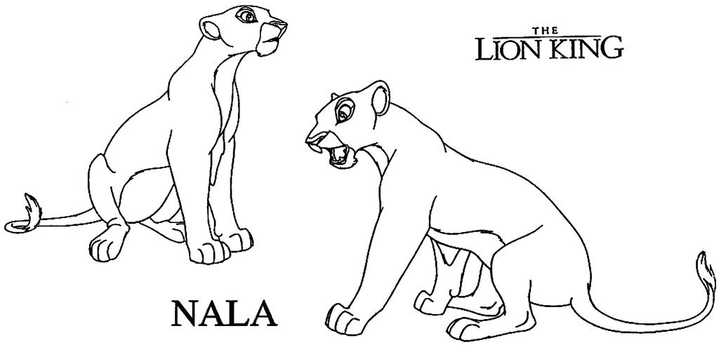1024x502 Lion Cub Colouring Pages Images Of King Coloring Adult