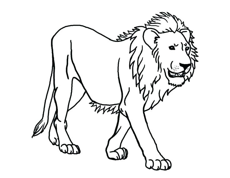 736x572 Lion Cub Coloring Pages Impair.co
