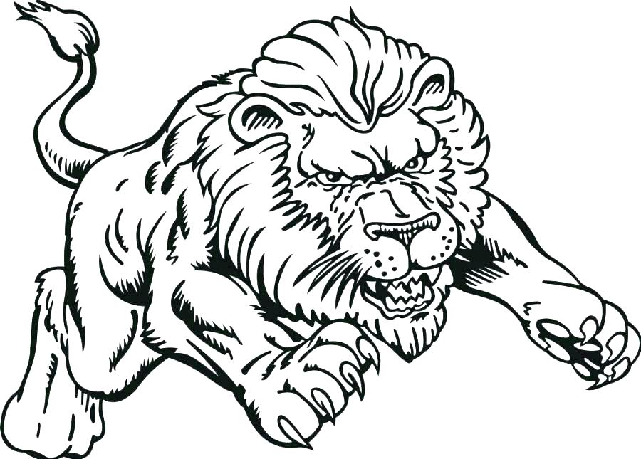 900x645 Baby Lion Coloring Pages Lion Cub Coloring Pages Baby Lion