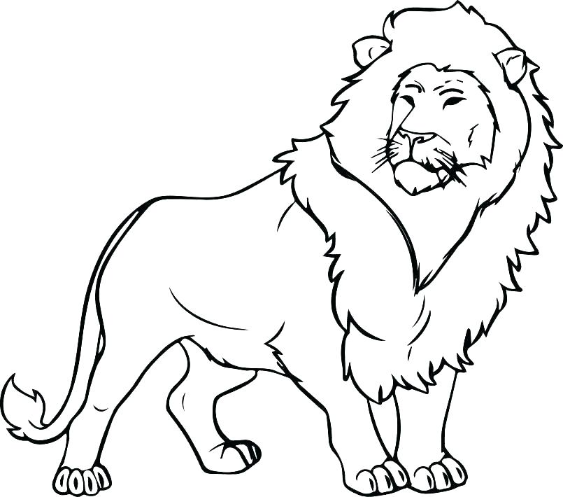 805x710 Coloring Page Lion Lion Coloring Page Mountain Lion Coloring Pages