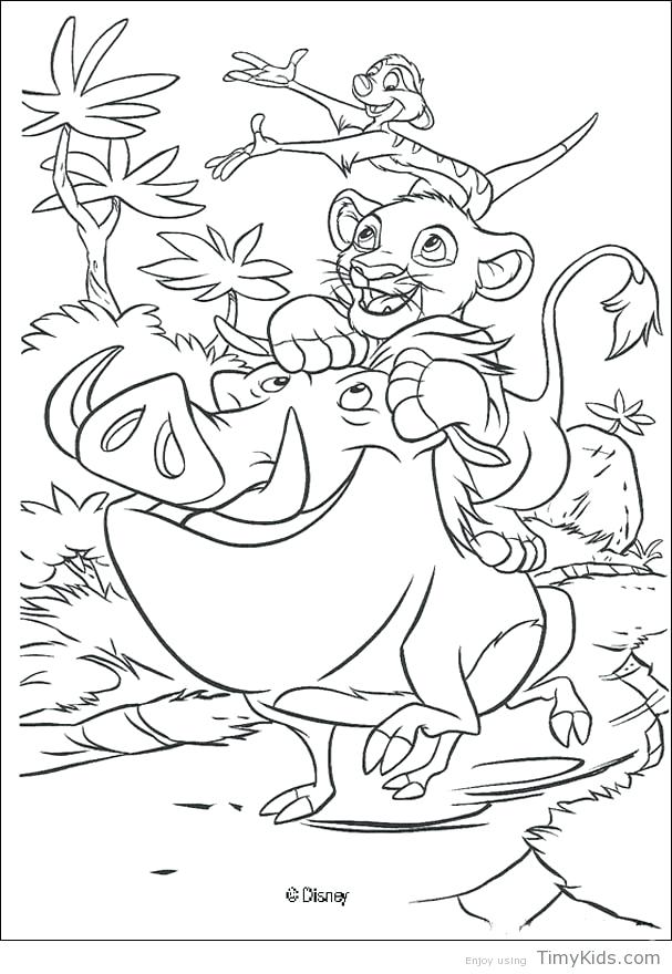 607x880 Coloring Page Lion Lion Face Coloring Page Online Coloring Pages