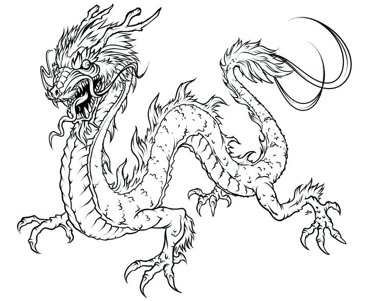 736x588 Idea Chinese Dragon Coloring Page Or Coloring Pages For Adults 65