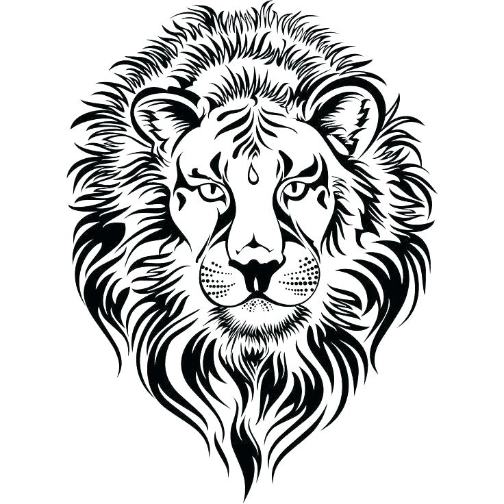 736x736 Lion Face Coloring Page Lion Head Coloring Page Lion Head Coloring