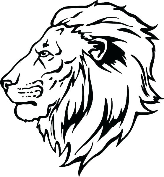555x600 Coloring Pages Of A Lion Coloring Pages Lion Coloring Page Of Lion