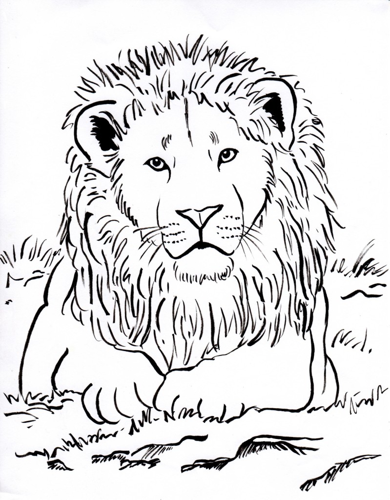 799x1024 Free Coloring Pages And Reference Pictures