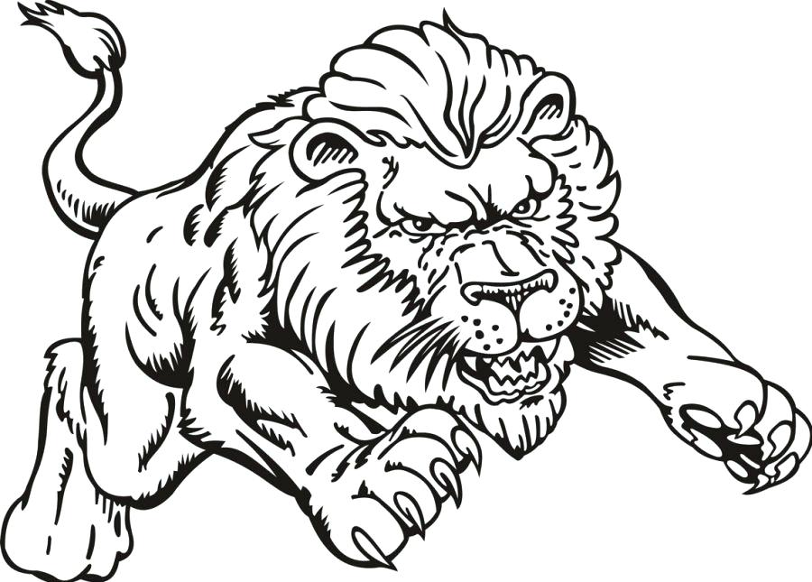 900x645 Coloring Pictures Of Lions Lions Coloring Pages Lion Color Page