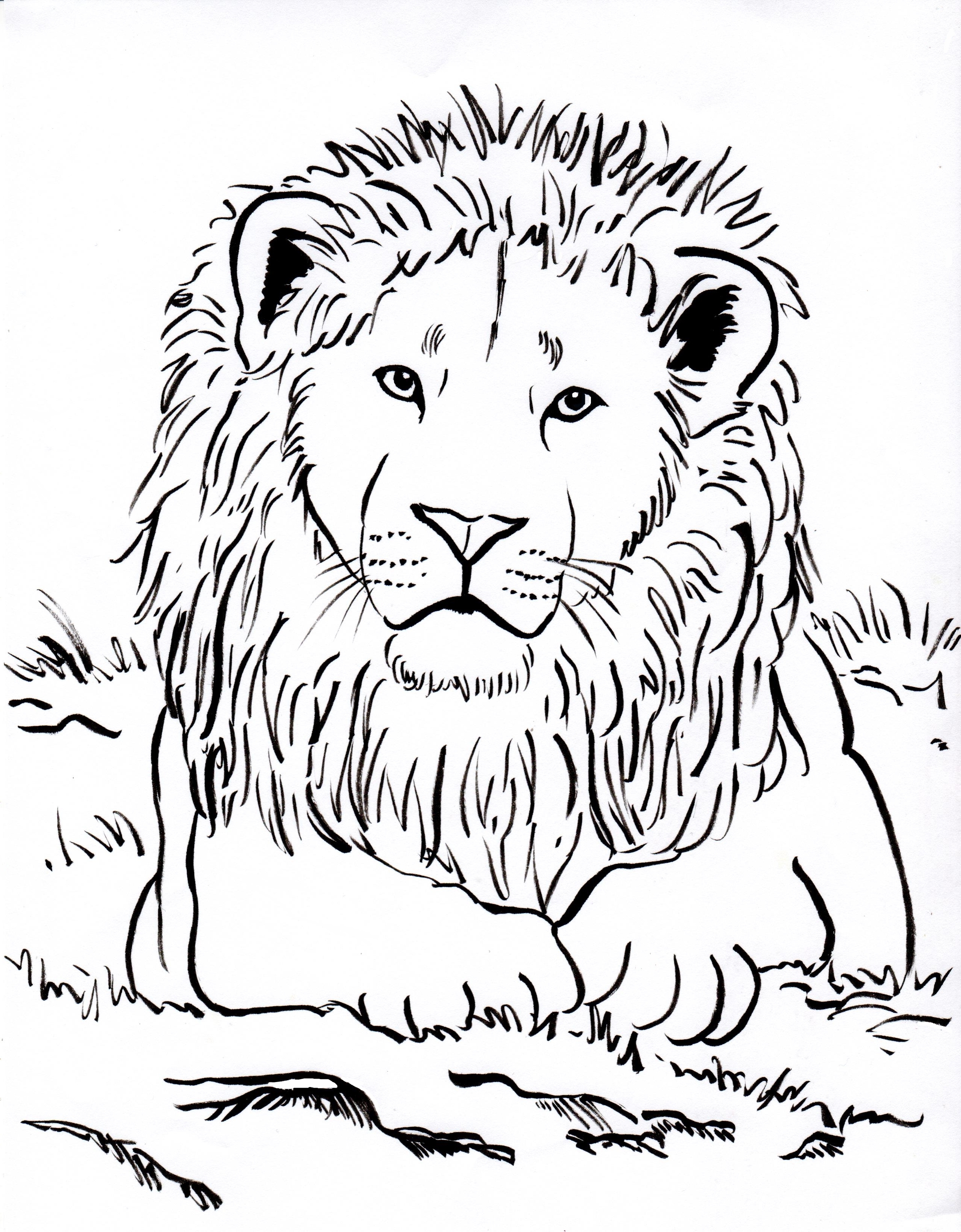 2550x3269 Lion Head Coloring Page Printable 21 Lion Head Coloring Pages 7584