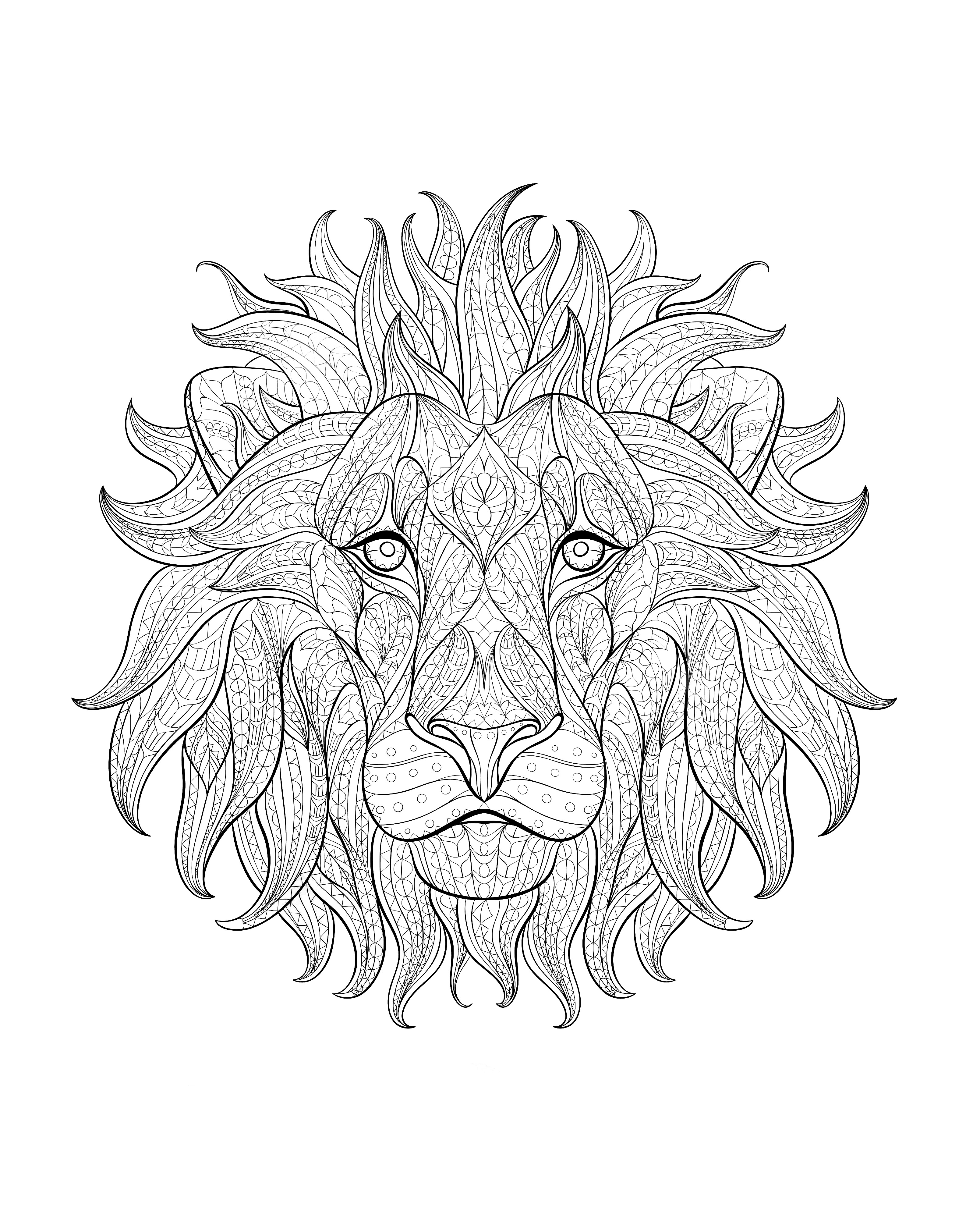 3171x4043 Africa Lion Head 3