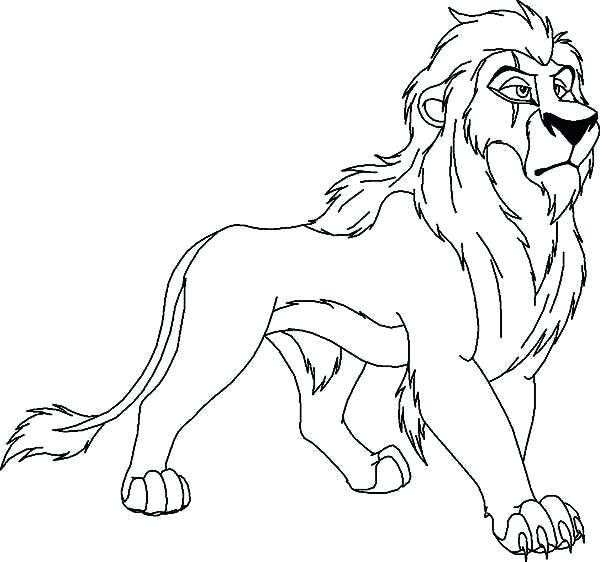 600x562 Lion King Coloring Page