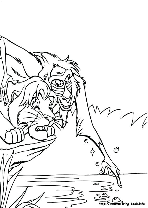 567x794 Lion Coloring Pages Printable Lion Coloring Pages Free Lion King