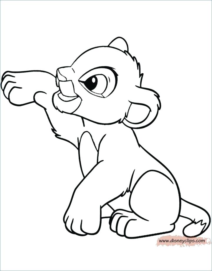 Lion King Coloring Pages Nala