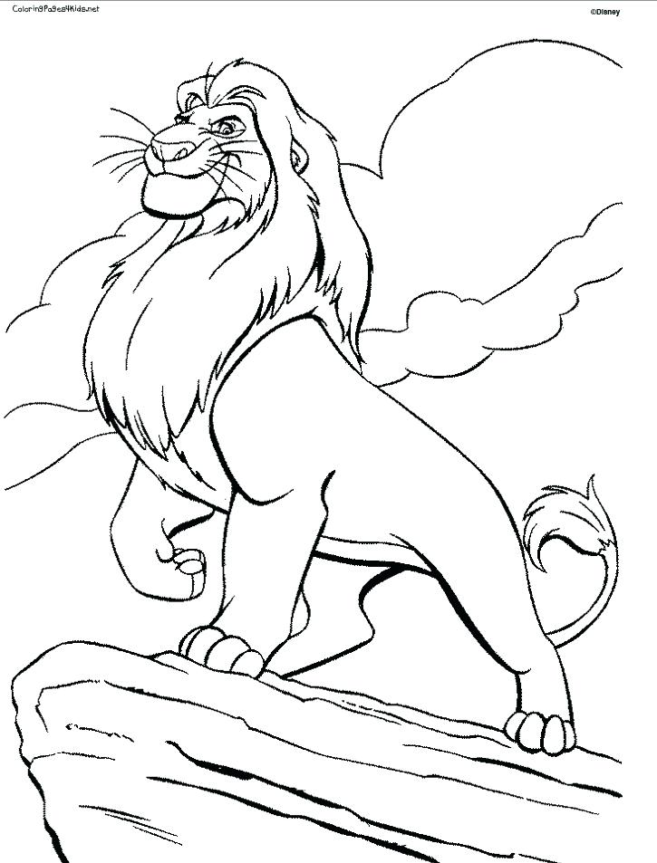 725x953 Lion King Simba Coloring Pages Lion King 1 1 2 Coloring Pages Lion