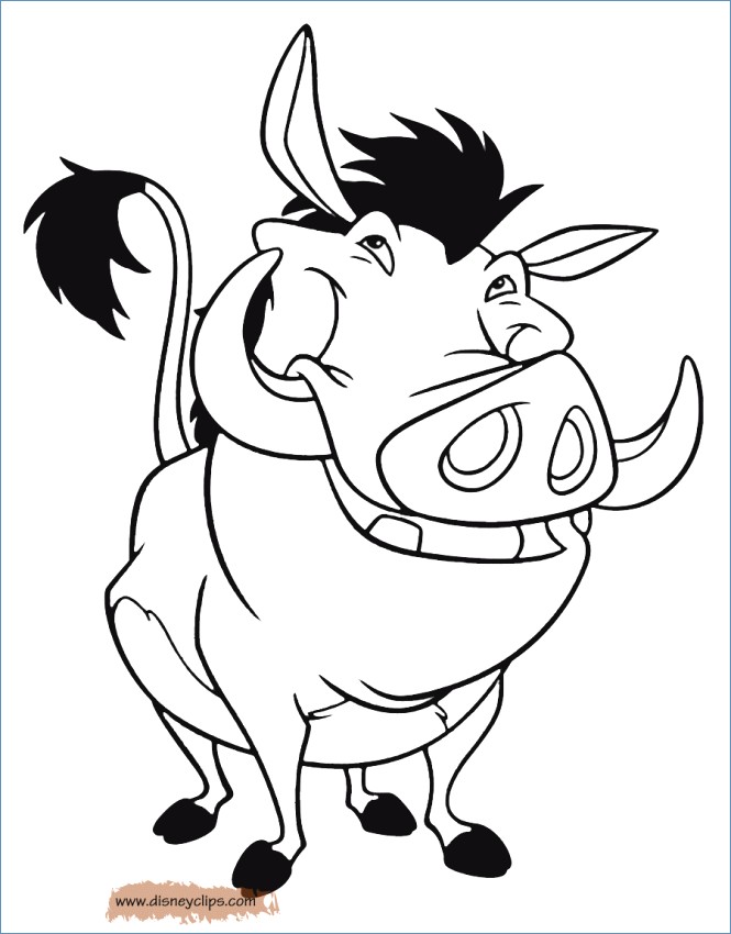 665x850 Simba Timon And Pumbaa Waterfall The Lion King Coloring Page