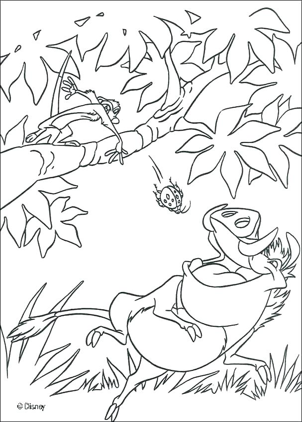 607x850 Lion Pictures To Color Also Lion King Color Pages Lion King