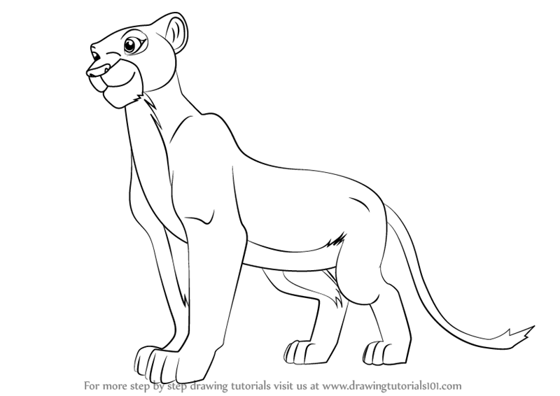 800x566 Learn How To Draw Nala From The Lion King (The Lion King) Step By