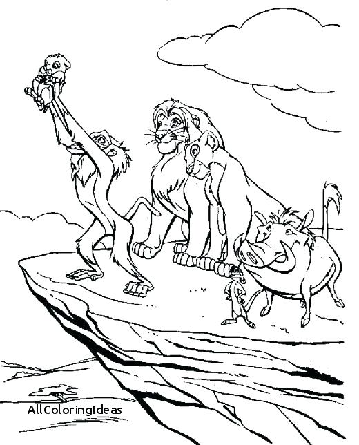 520x644 Lion Coloring Pages Lion King Printable Coloring Pages Lion King