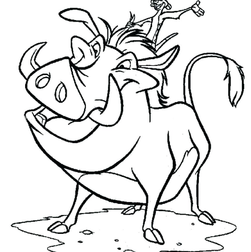 860x864 Nala Coloring Pages Shippa.co