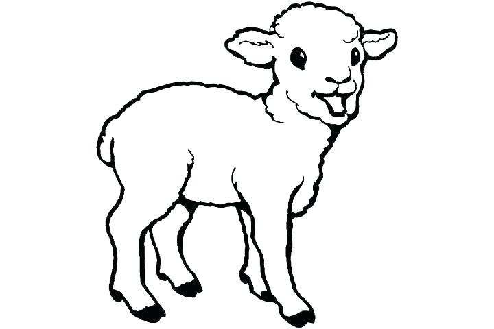 720x480 Lamb Coloring Pages Coloring Pages For March Plus March Lion