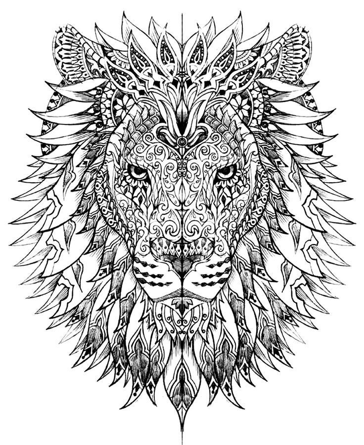 736x901 Free Coloring Pages Printables Lion, Arte Callejero Y Mandalas