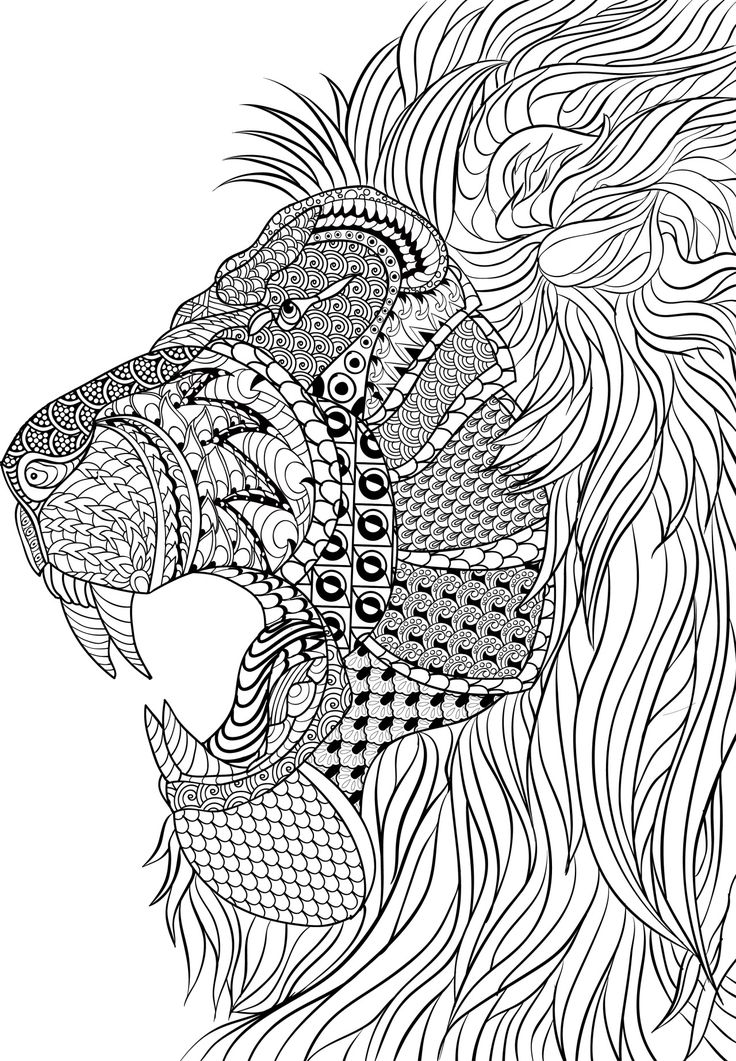 736x1061 Fresh Idea Animal Mandala Coloring Pages