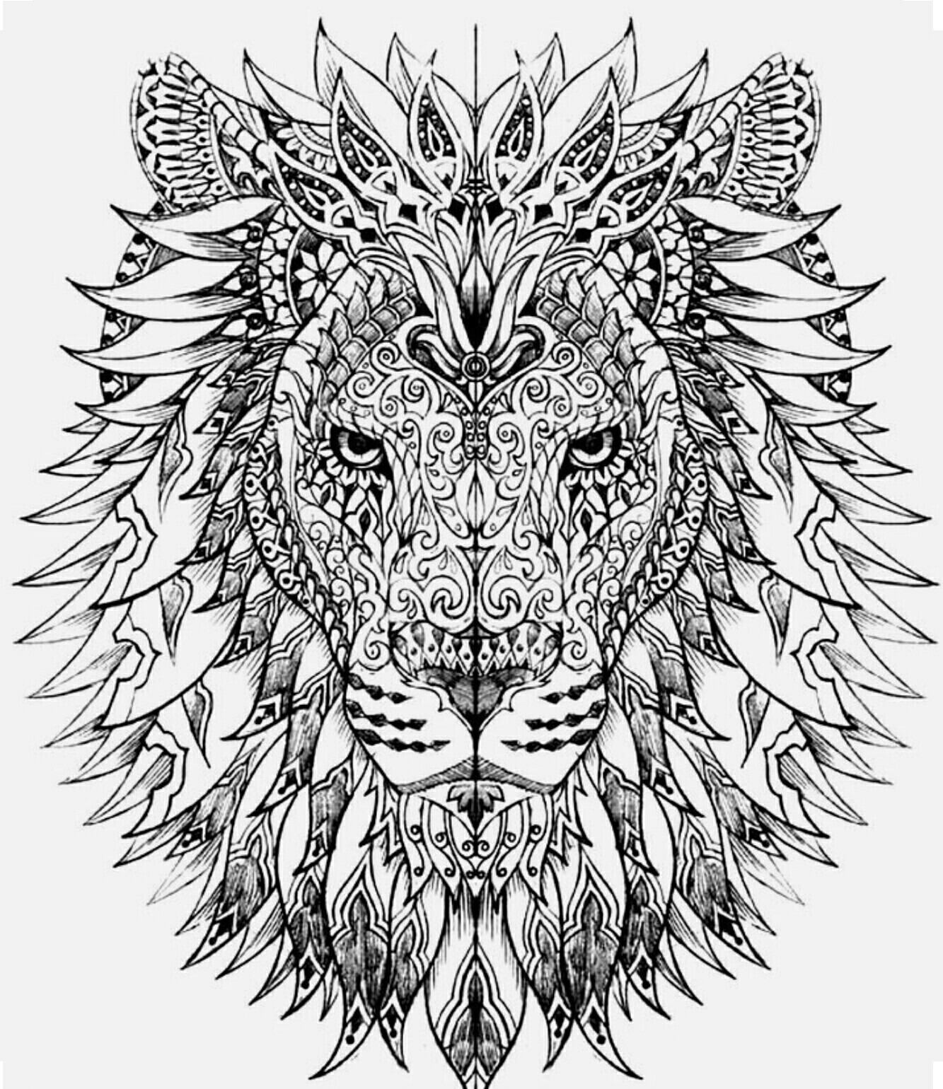 1333x1540 Lion Color Page Coloring Book Pages Lions