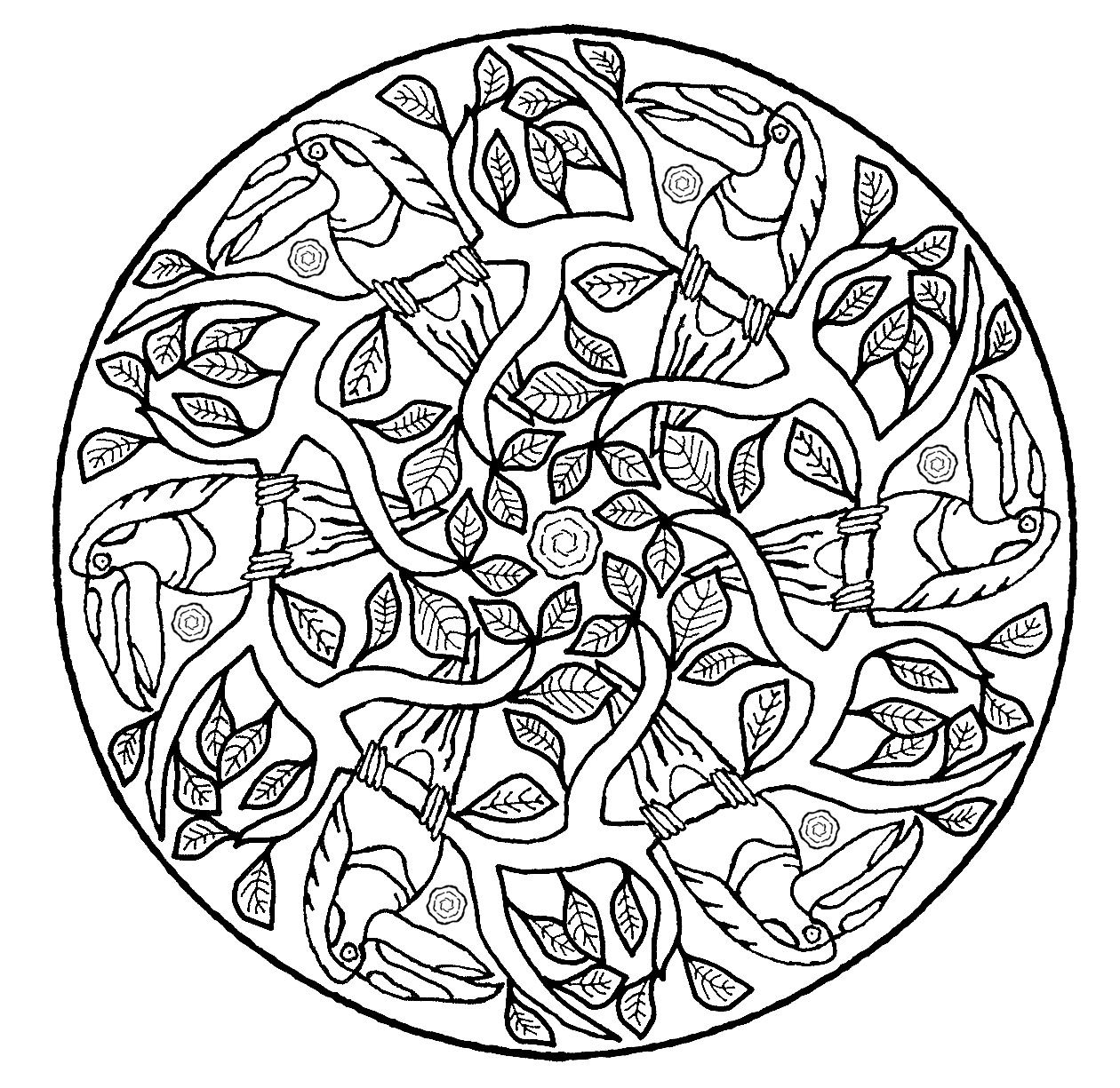 1260x1225 Perroquets Et Feuilles A Partir De La Galerie Mandalas