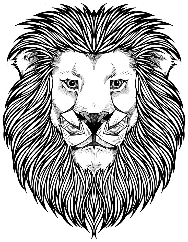 736x944 Best 25 Lion Coloring Pages Ideas On Mandala Lion Lion