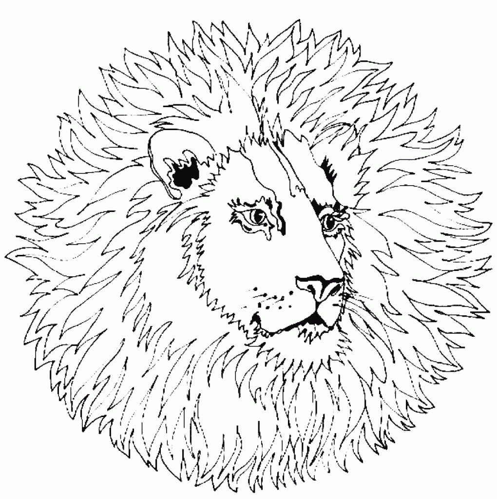 1020x1024 Astonishing Printable Mandala Coloring Pages For Kids Picture