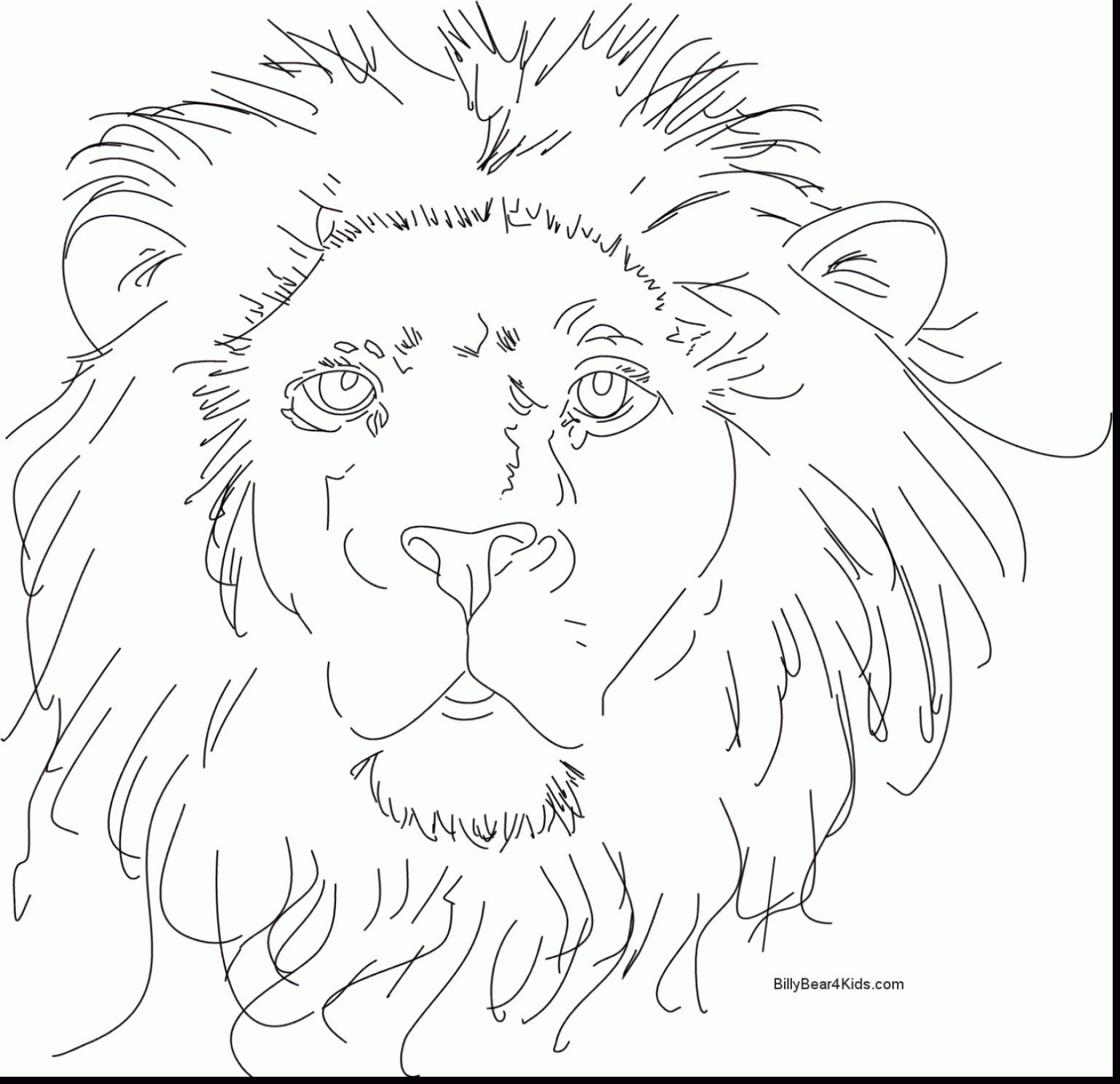 1537x1488 Best Of Mandala Lion Head 1 Mandalas Coloring Pages For Adults