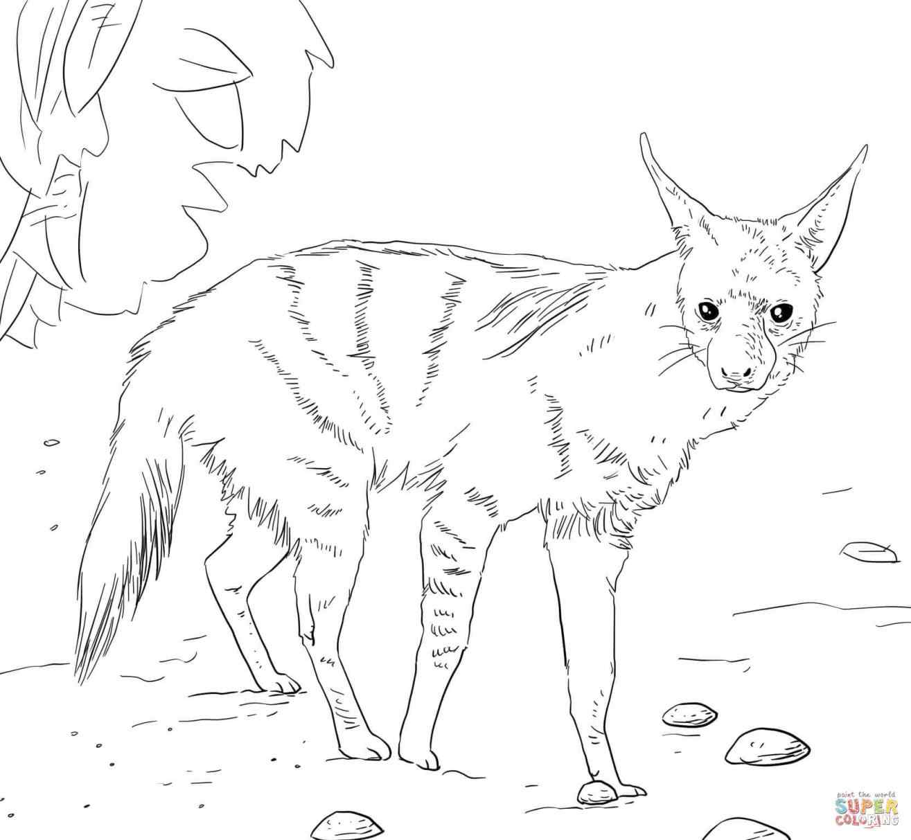1315x1213 Realistic Lioness Coloring Pages Online Coloring Printable