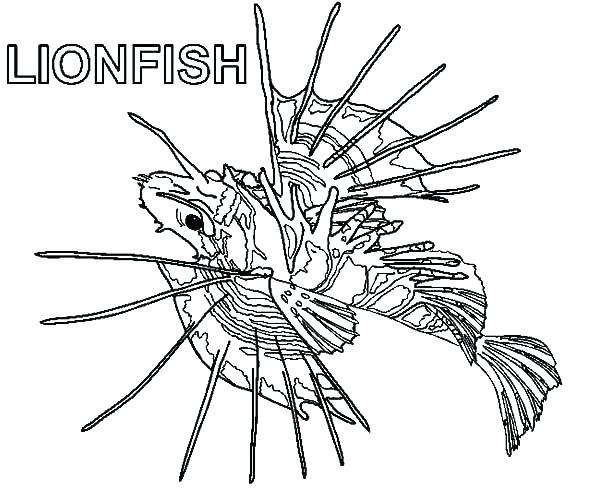 600x501 Lionfish Coloring Page Coloring Page L Is For Coloring Pages