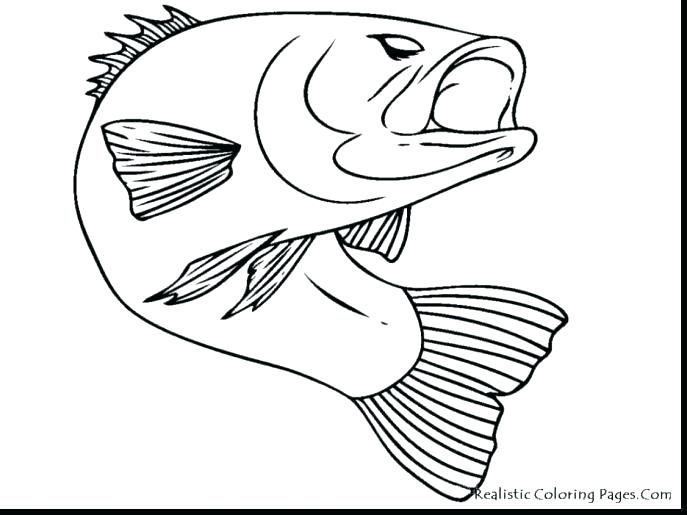 687x515 Lionfish Coloring Page Coloring Page Medium Size Of Fish Realistic