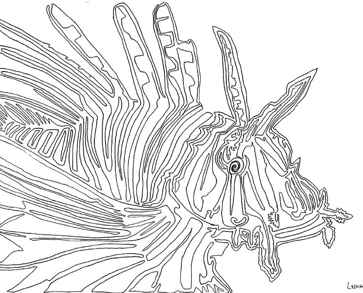 736x594 Lionfish Coloring Page Lion Fish Continuous Line Library Lionfish